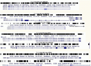 Hybridization enrichment for NGS