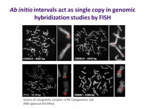 FISH of short cancer related genes